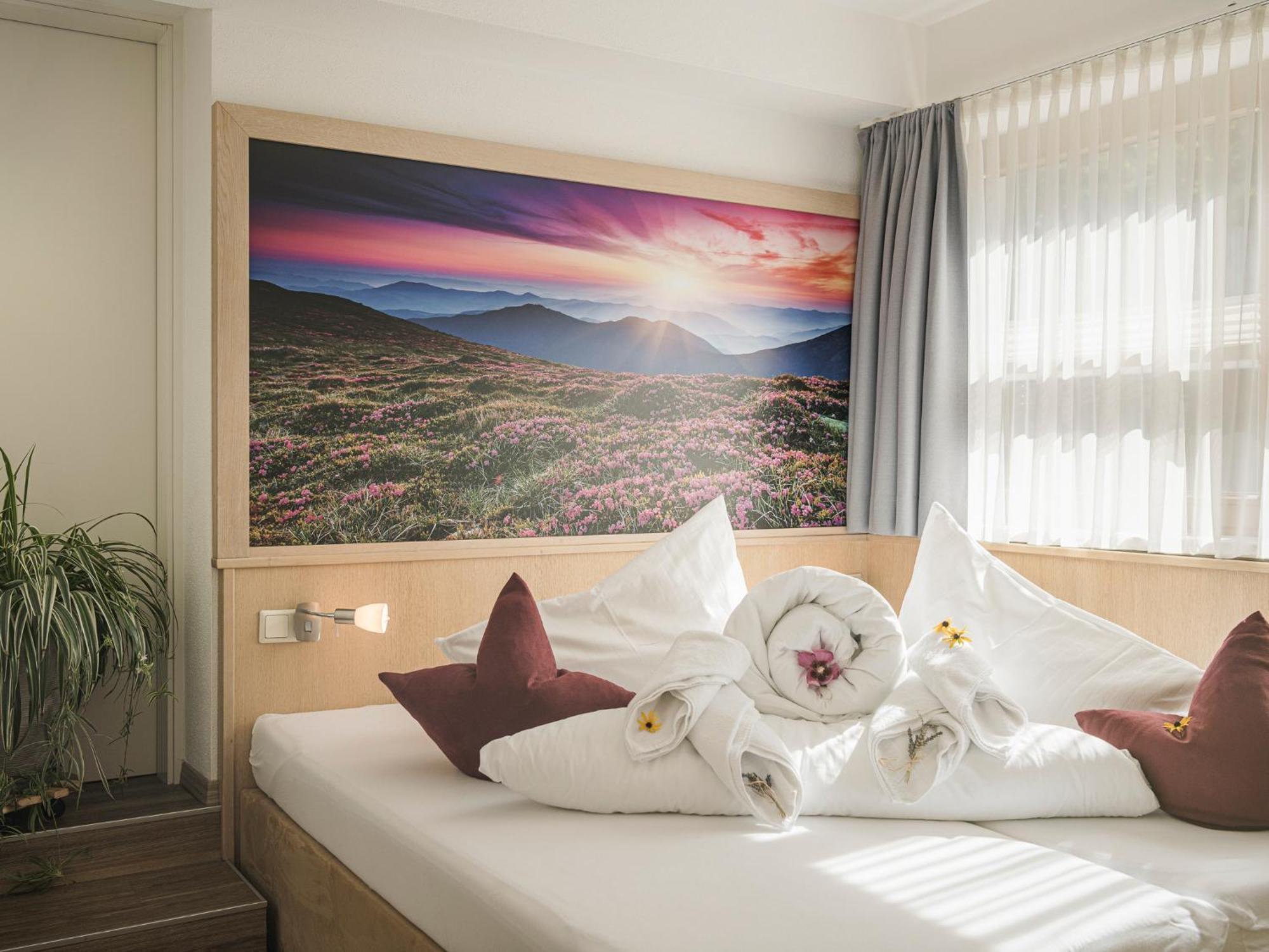 Apart Central – Premium Mountain&Garden Mayrhofen Chambre photo